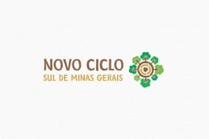 capa-Novo_Ciclo-insea