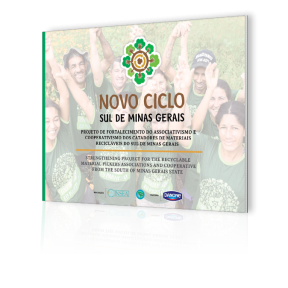 publicacoes_insea-novo_ciclo